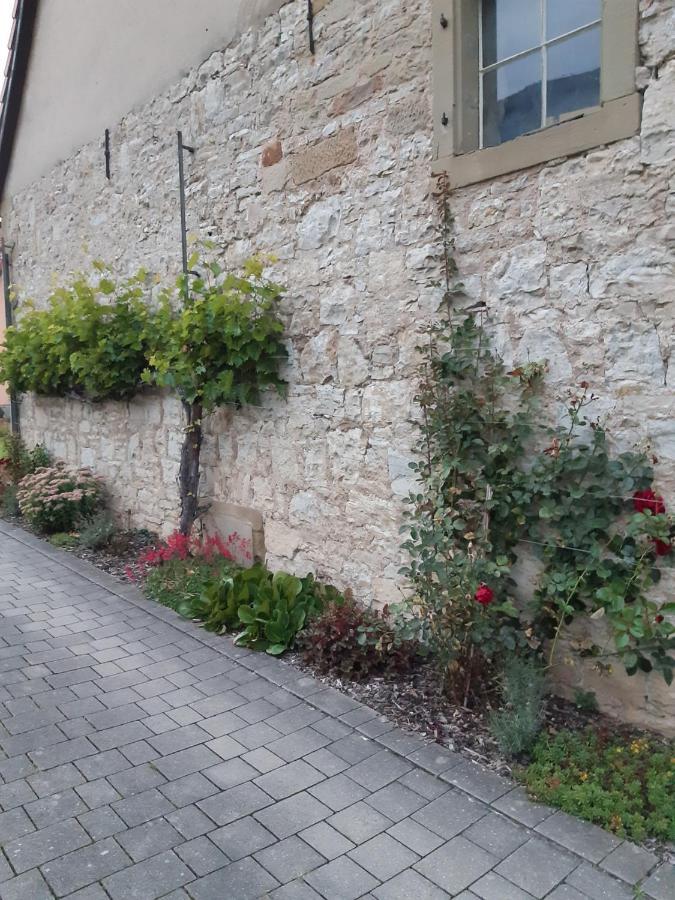 Fewo Koerner Seinsheim Im Weinparadies Εξωτερικό φωτογραφία
